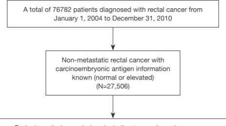 Figure 1 Schematic representation of patient population selected from SEER database. SEER, Surveillance, Epidemiology, and End Results.