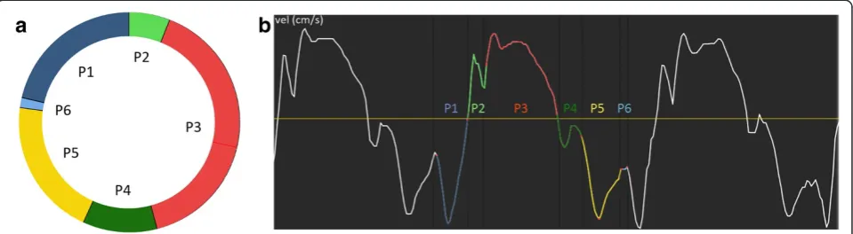 Figure 1 The cardiac state diagram (CSD). Example displaying (a) a cardiac state diagram CSD of septum from a healthy fetus at 36 weeks ofgestation, and (b) the extracted myocardial velocity (thick curve) and acceleration (thin curve) from which the CSD was generated.