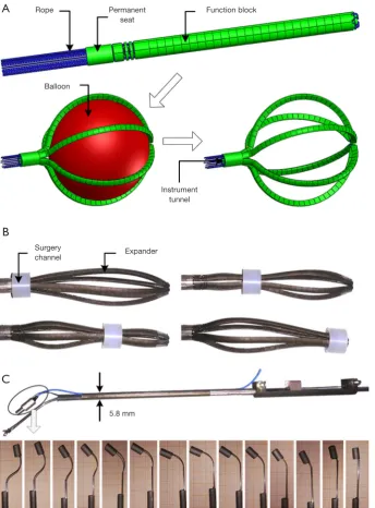 Figure 3 Working procedure of the dilator and operating system. (A) Working process of the dilator; (B) procedure of the dilator removed from the surgical channel; (C) swing process of the lens mount.