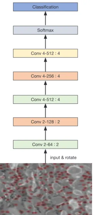 Figure 2 Schematic of the VGG-19 model.