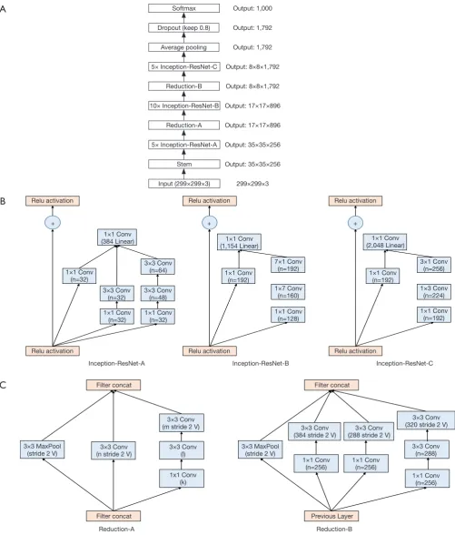 Figure 3 Architecture of the Inception-ResNet-v2 model. (A) Schematic of the Inception-ResNet-v2 model; (B) Inception-ResNet-v2 includes of 3 types of Inception modules, labeled as A, B, C