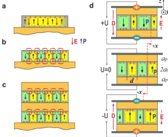 FIG. 1. Formation and dynamics of the periodic domain texture (PDT). (a) A single-domain state, the ferroelectric polarization and the depolarization field are shown by the blue and red arrows,  re-spectively