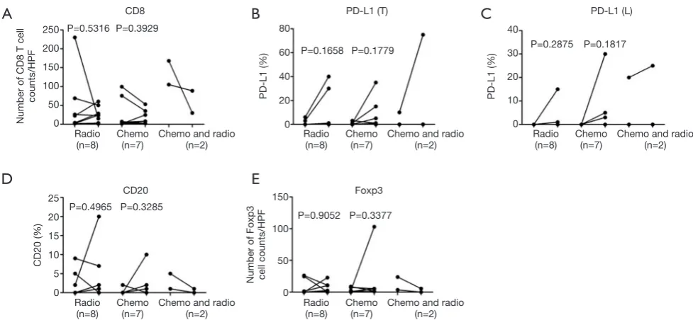 Figure S7 Effects of chemotherapy or radiotherapy on the quantities of CD8, PD-L1, CD20, and Foxp3-positive cells