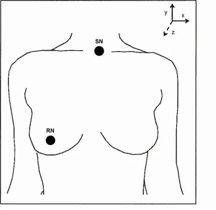 Figure 4.1: Marker positions on the upper body (SN = suprasternal notch; RN = right nipple) and orientation of the global coordinate system.