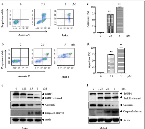 Fig. 2 WP1130 induces apoptosis in T-ALL cells. a, b Jurkat or Molt-4 cells were exposed to WP1130 for different concentrations prior to staining with Annexin-V/PI