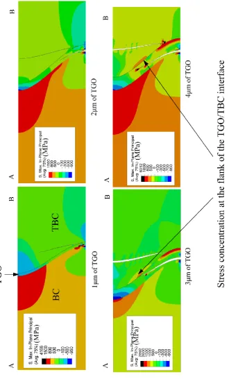Fig. 7: Maximum principal stresses for the models with different TGO thicknesses 