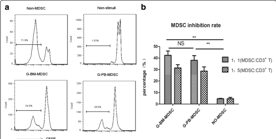 Fig. 2 Suppressive activity of MDSCs isolated from G-BM and G-PBSC grafts.culture with isolated MDSCs or not.1:5 ratio to purified CD3+ T cells in the presence of anti-CD2/CD3/CD28 biotin beads according to manufacturer instructions (Miltenyi Biotec).Data 