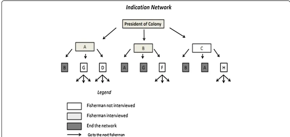 Figure 2 A model of the indication network used for the selection of expert fishermen in colonies Z-19 and Z-34 in Ilhéus,Bahia (N = 30).
