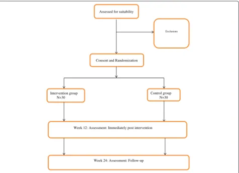 Figure 1 Trial protocol.