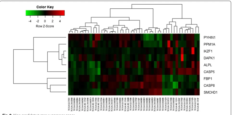 Fig. 9 Nine candidate tumor suppressor genes