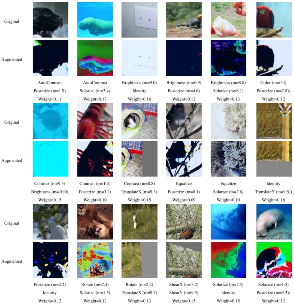 Figure 9: Examples of augmented samples with low weights.