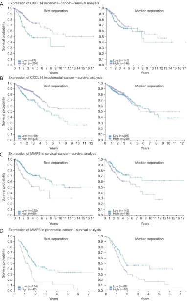 Figure S2 Expression of CXXL14 and MMP3 in different tumor types—survival analysis. (A,B) Kaplan-Meier plot is drawn on patients figures are original and available at the Human Protein Atlas web portal (www.proteinatlas.org/dictionary)