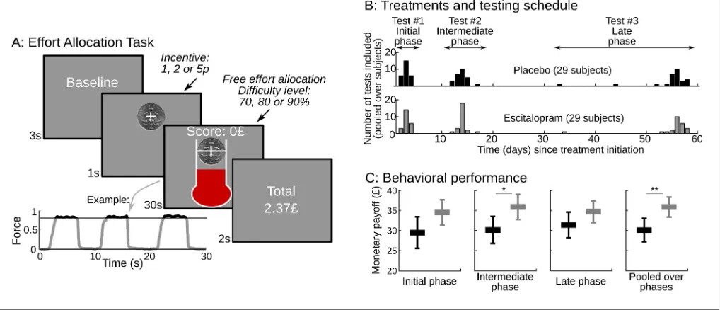 Figure 1. Task design and behavioral performance. (effort as they wished over the 30s corresponding to the trial duration