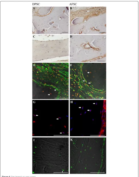 Figure 6 (See legend on next page.)