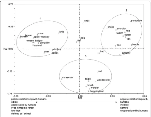Figure 2 Principal component analysis for all Zapotec judgments in pile-sorting analysis.