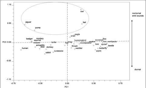 Figure 3 Graph of principal component 3 in Zapotec pile-sorting analysis.