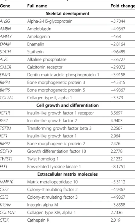 Table 1 Functional grouping of osteogenic geneexpression after 1 week of dynamic culture in vitro