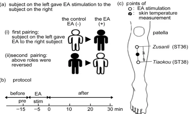Figure 1. (a-i) First, subjects worked in pairs; one subject (on the left = figure in white) roles were reserved (the black gave EA stimulation to the white)