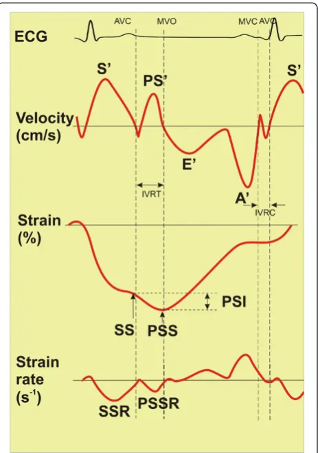 Figure 1 Schematic of measured study parameters. At the topvelocity markers are presented, in the middle – strain markers, at thebottom – strain rate markers