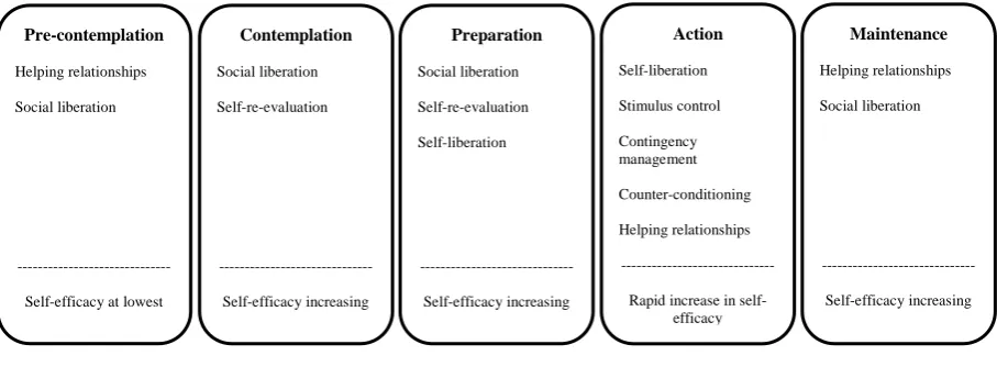 Table 1: The Stages of Change (as presented in Wave 1) 