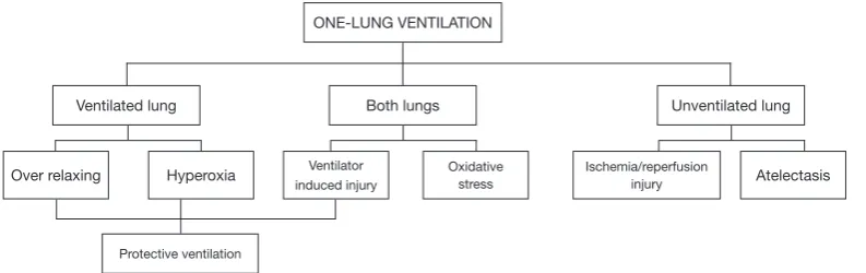 Figure 2 Open issue in one-lung ventilation and solution proposals.