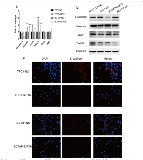 Fig. 2 Expression of EMT associated markers. a EMT associated markers expression analyzed by RT-qPCR