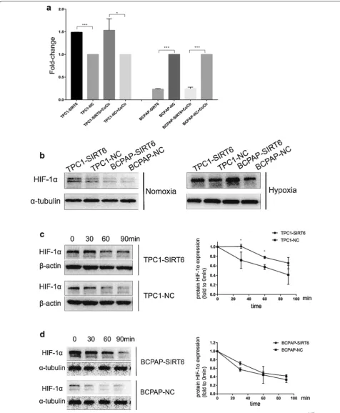 Fig. 4 a mRNA expression of HIF-1α fold to negative control under normoxia and hypoxia