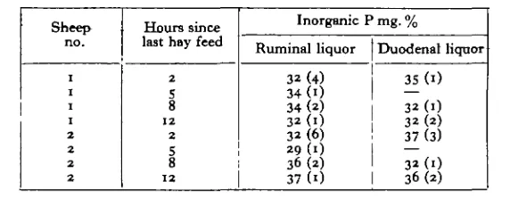 Table 1. The inorganic phosphate content of ruminal and duodenal liquors
