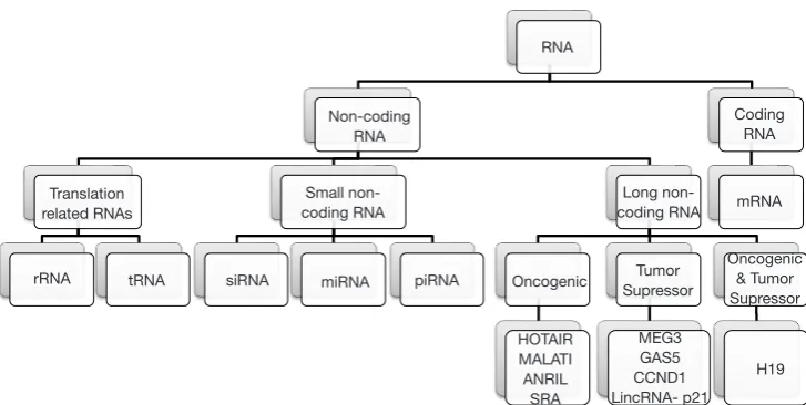 Figure 1 A classification of RNA types showing the whole new world of RNAs playing important roles in diverse biological functions by modulating gene expression via antisense and miRNA-mediated controls.