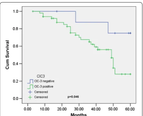 Fig. 3 The relationship between ClC‑3 expression and cumulative survival in cervical cancer patients