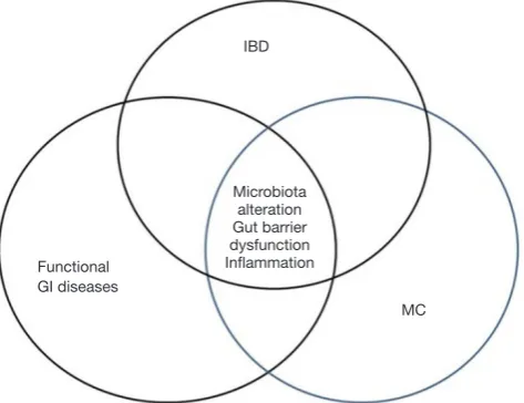 Figure 2 Simplified scheme illustrating the role of microbiota and gut barrier alterations in the overlap of IBD related disorders