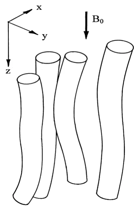Fig. 1. Wiggling and meandering ﬁeld-aligned current ﬁlaments.