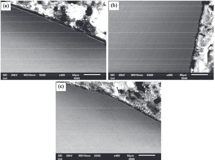 Figure 4: Cross-sections of 304L rebars after cyclic potentiodynamic polarization in acidic electrolyte containing Ca(OH) 2 , acid rain  simulating solution and (a) 0 wt.%  fly ash, (b) 20 wt.% fly ash and (c) 25 wt.% fly ash (wt.%: with respect to (Ca(OH)