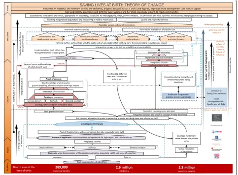 Fig. 1 Saving lives at birth theory of change