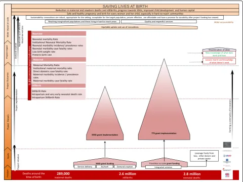 Fig. 2 Saving Lives at Birth impact framework