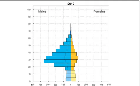 Fig. 1 Qatar 2017 demographic profile. Source: United Nations, Department of Economic and Social Affairs, Population Division (2017)