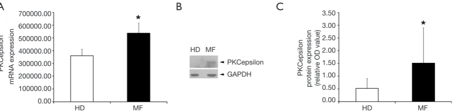 Figure 1 MF platelet activation status. Platelet surface expression of CD62p, PAC1 (from 3 MF patients and 3 HDs) and CD154 (from 5 MF patients and 5 HD)