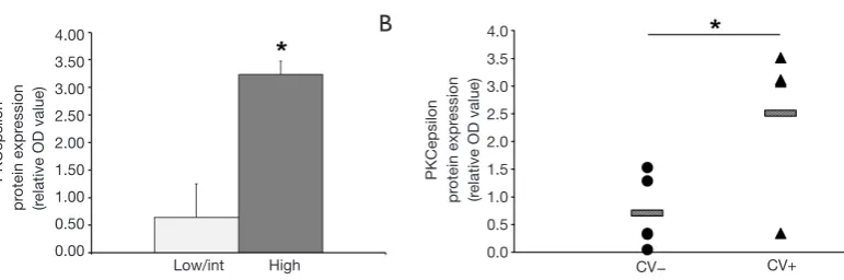 Figure 3 Correlation between PKCepsilon expression with IPSS/DIPSS risk category and cardiovascular events