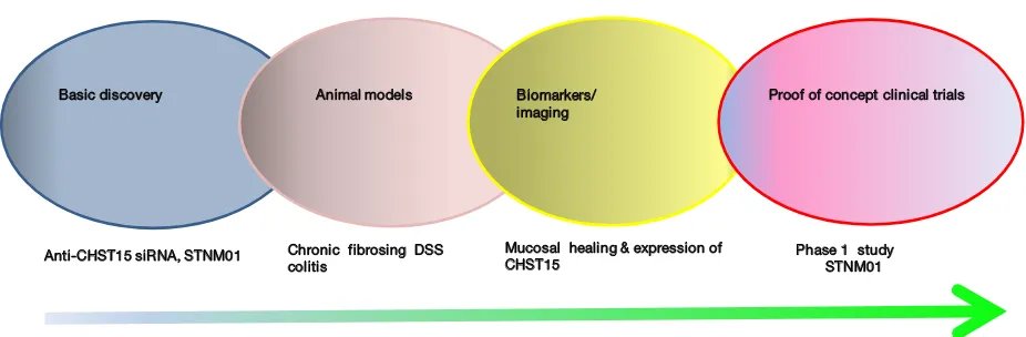 Figure 7 Development of a future anti-fibrotic therapy approach in inflammatory bowel disease; our research road map.