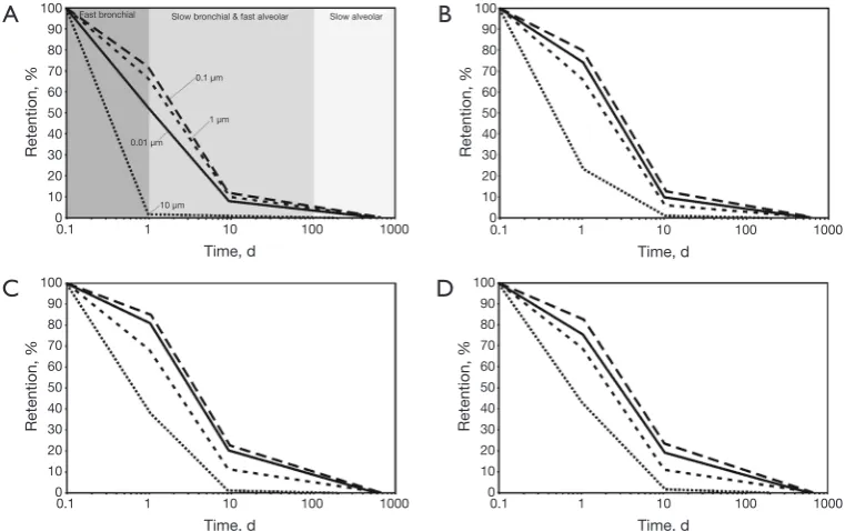 Figure 3 Dependence of relative particle fractions retained in the respiratory tract after 24 h, 25 d, and 100 d upon aerodynamic particle diameter: (A) situation in 1-year-old infants; (B) clearance behaviour in 5-year-old chil dren; (C) clearance behavio