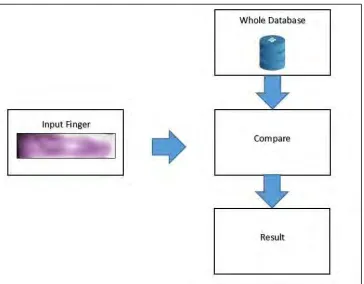 Figure 2.2: Identification System 