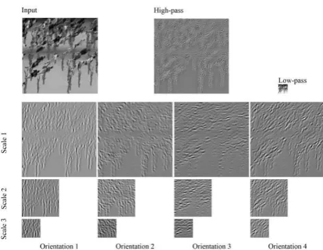 Figure 6. Real parts of band pass images from 3-scales and 4-orientations example steerable pyramid   