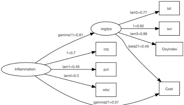 Figure 2 Diagram of structural equation model in reticular action model (RAM) style, which is default to the pathDiagram() function