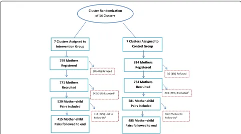 Fig. 1 Randomization of Study participants to Intervention and Control Groups, MIYCN Study, Nairobi Slums