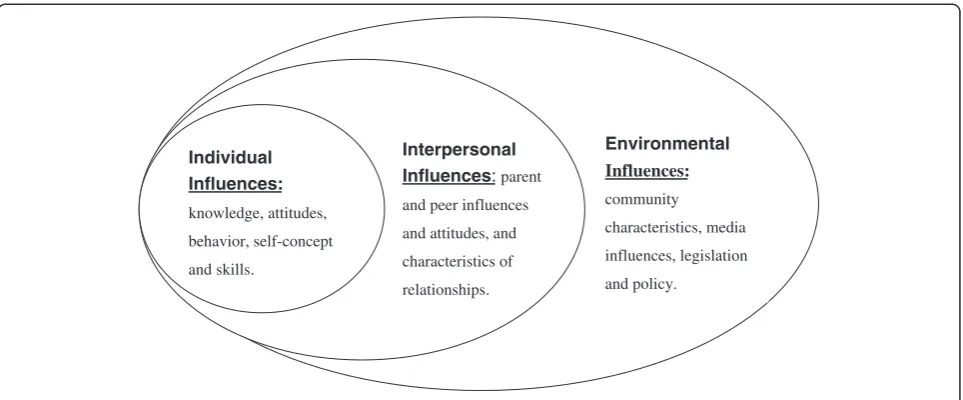 Figure 1 The socio-ecological model (based on Stokols’ theory).