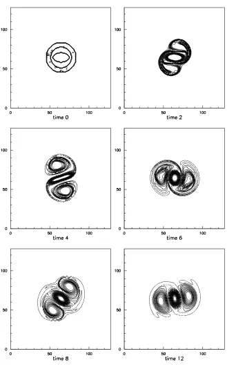 Fig. 4. (a) Behavior about a separatrix: unperturbed state. Successive snapshots of the vorticity ﬁeld (r3 = 0.9325), N = 256