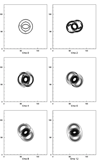 Fig. 1. (a) Formation of the tripolar structure: unperturbed state. Successive snapshots of the vorticity ﬁeld (r3 = 1), N = 256
