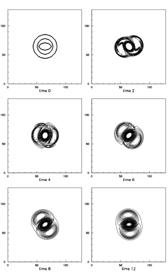 Fig. 1. (b) Formation of the tripolar structure: perturbed state e=0.01. Successive snapshots of the vorticity ﬁeld (r3 = 1), N = 256.The contour interval is 2.4.