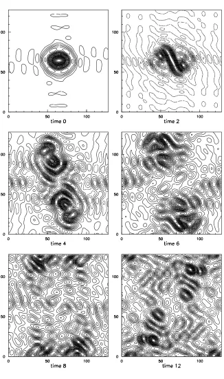 Fig. 3. (a) Decreasing the number of degrees of freedom: unperturbed state. Successive snapshots of the vorticity ﬁeldN (r3 = 1), = 16