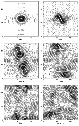 Fig. 3. (b) Decreasing the number of degrees of freedom: perturbed state, e=0.01. Successive snapshots of the vorticity ﬁeldN (r3 = 1), = 16